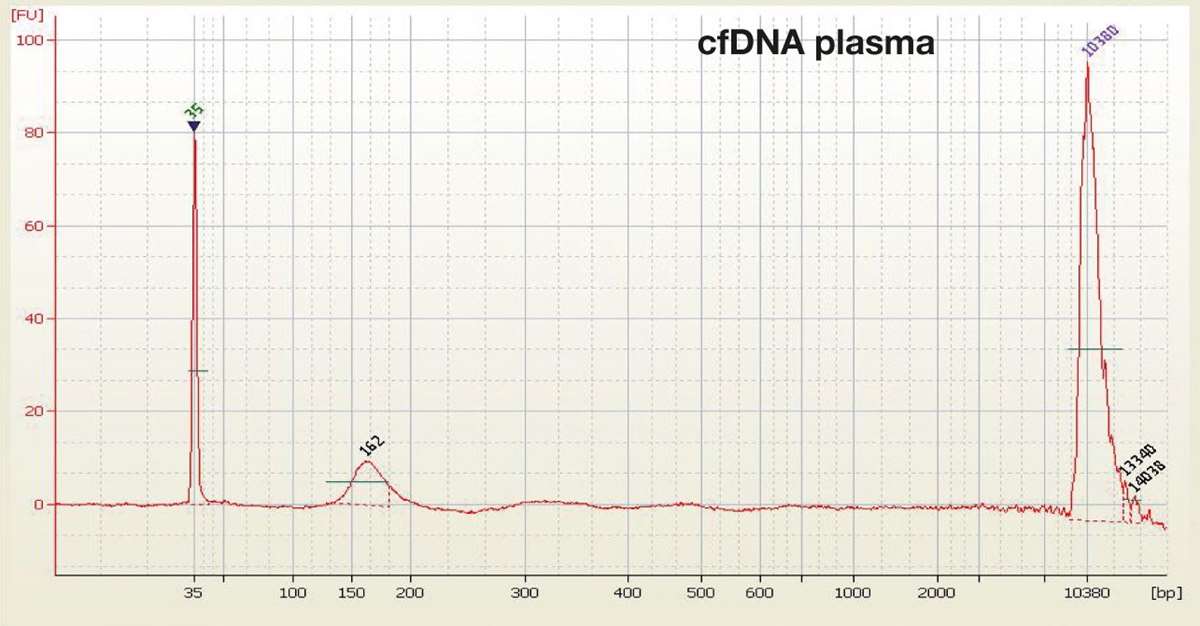cfDNA fra blodgiver målt i EDTA-plasma.cfDNA fra blodgiver målt i EDTA-plasma.